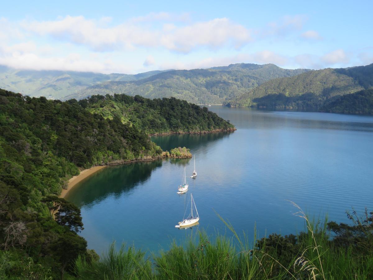 Waterfront Bed And Breakfast Picton Eksteriør billede